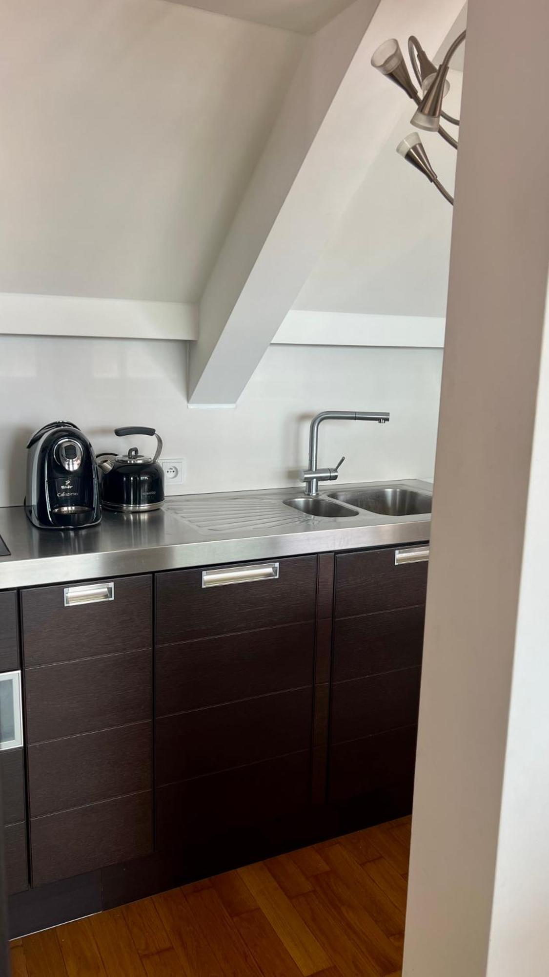 Apartman Se Saunou A Terasou S Vyhledem Na Brno Zewnętrze zdjęcie