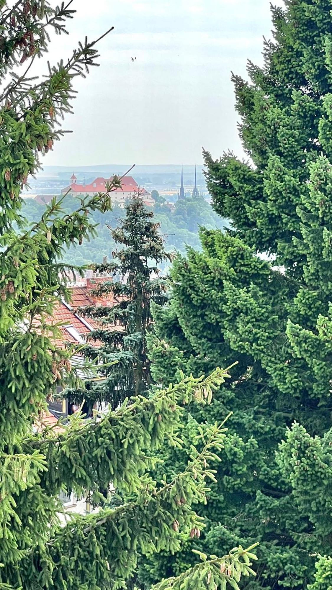 Apartman Se Saunou A Terasou S Vyhledem Na Brno Zewnętrze zdjęcie