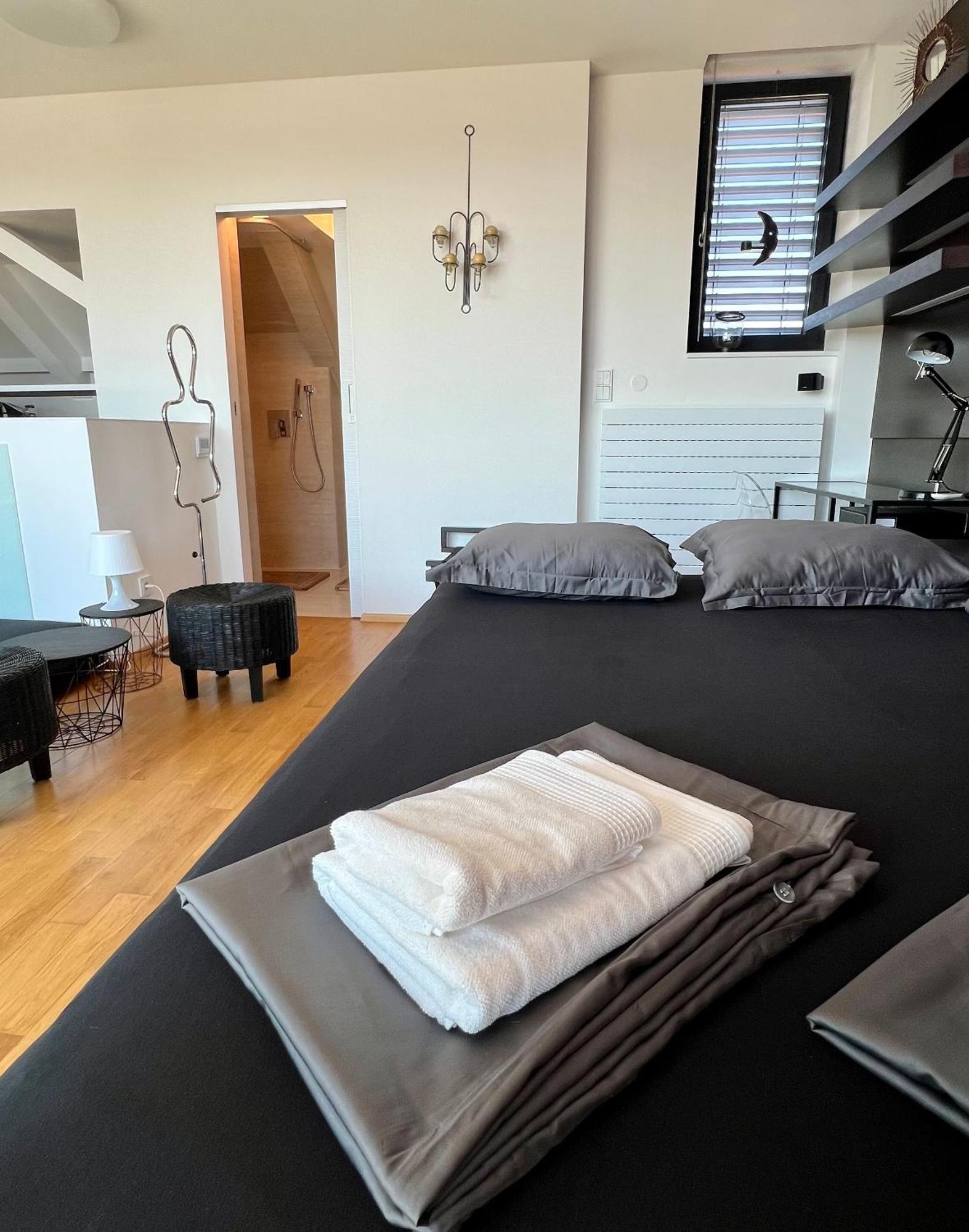 Apartman Se Saunou A Terasou S Vyhledem Na Brno Zewnętrze zdjęcie